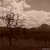 index.php?option=com_phocagallery&view=category&id=7