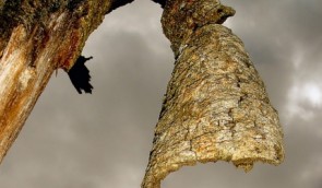 Ocali walinga ongonjo,yukukupila ketimba
